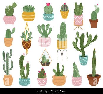 Potted cactus. Cute desert cactus, succulents and aloe in pots, tropical home plants, mexican prickly house potted plants vector illustration set Stock Vector