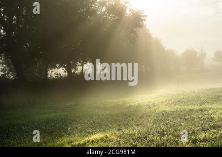 A scenic view of the sun's rays shining through the fog in the Hampshire countryside on a misty September morning. Stock Photo
