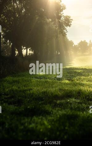 A scenic view of the sun's rays shining through the fog in the Hampshire countryside on a misty September morning, with a shallow depth of field. Stock Photo