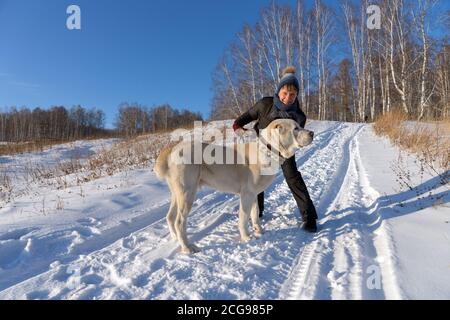 A woman is hugging a Central Asian Shepherd on a winter rural road amid a birch grove. Stock Photo