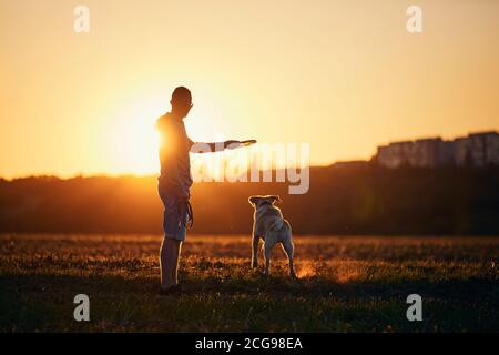 Man throwing flying disc for his dog. Pet owner with labrador retriver on field at beautiful sunset. Stock Photo