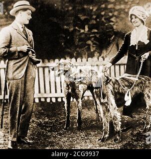 1920 -  An unusual  casual photograph of Prince Edward on a tour of NZ and Australia viewing dogs before a dog parade the at National Exhibition, Brisbane. Full title was Duke of Windsor (Edward Albert Christian George Andrew Patrick David;  1894 –  1972),  became King  Edward VIII of the United Kingdom and the   British Empire, and Emperor of India, from 20 January 1936 until his abdication on 11 December of that year. He caused controversy in Australia over racist remarks about Aborigines being like monkeys. Stock Photo