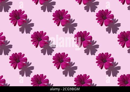 Seamless pattern of a beautiful purple flower Dahlia on soft purple background. Minimal flowers concept in hard light with shadows. Abstract backdrop. Stock Photo