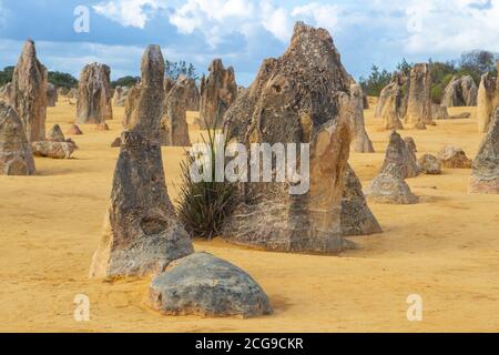 Impression from the beautiful Pinnacles Desert in the Nambung National Park close to Cervantes, Western Australia Stock Photo