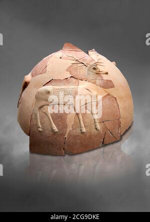 Hittite relief vas fragment depicting a deer, Hattusa, Hittite Old Kingdom 1650-1450 BC, Bogazkale archaeological Museum, Turkey. Grey background Stock Photo