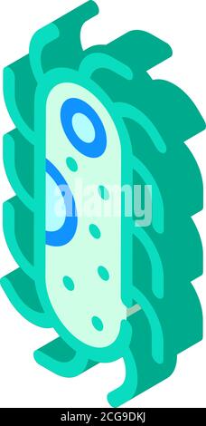 protozoa malaria isometric icon vector isolated illustration Stock Vector