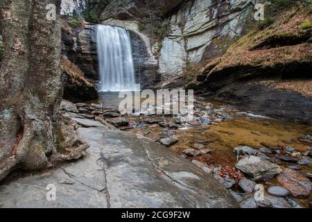 River flowing away from the Looking Glass waterfall with large tree growing into a rock near Brevard, North Carolina Stock Photo