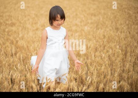Cute little girl playing on wheat field Stock Photo