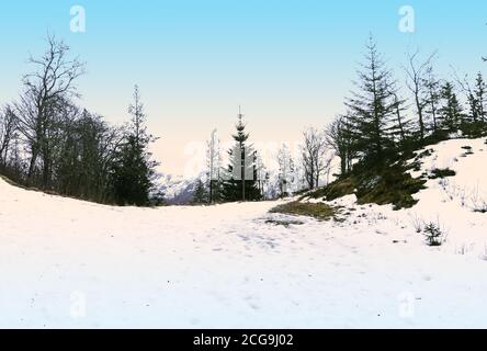 Silhouette of pine trees on a snowy mountain. Winter landscape with sunrise in Norway. Stock Photo