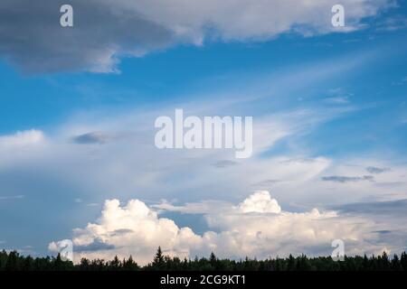 Beautiful cumulus clouds above the dark outline of trees and high stratus clouds on a summer day. Stock Photo