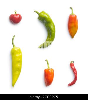 Various types of peppers vegetables isolated on white background. Stock Photo