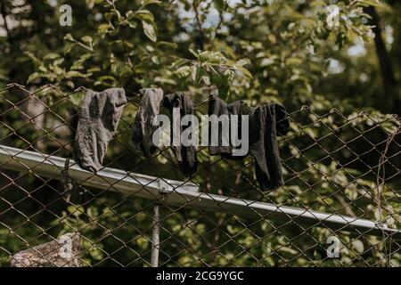 old black and gray socks are dried on a steel metal wire Stock Photo
