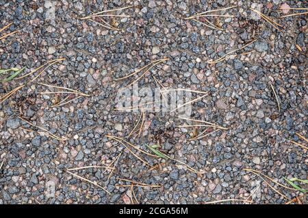 Coarse gravel, black and gray. Background texture Stock Photo
