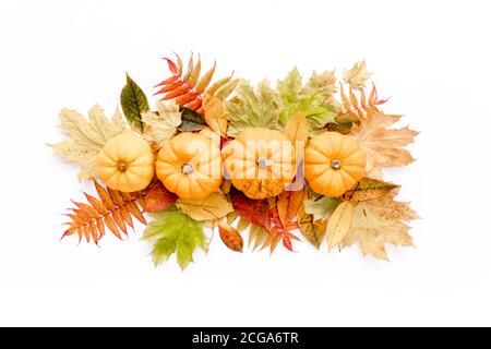 Pattern made of dry autumn leaves, Pumpkins and cotton. Fall flat lay. Top view. Autumn minimal concept Stock Photo
