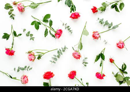 Floral pattern made of red roses and eucalyptus branches on white background. Valentine's background. Floral pattern. Flat lay, top view.  Stock Photo