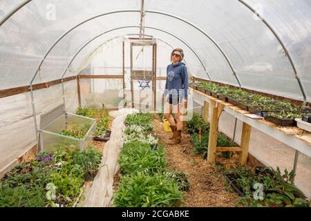 A woman in cowboy boots stands in a greenhouse full of plant seedlings Stock Photo