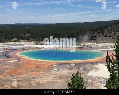 Famous trail of Grand Prismatic Springs in Yellowstone National Park from high angle view. Beautiful hot springs with vivid color blue green orange