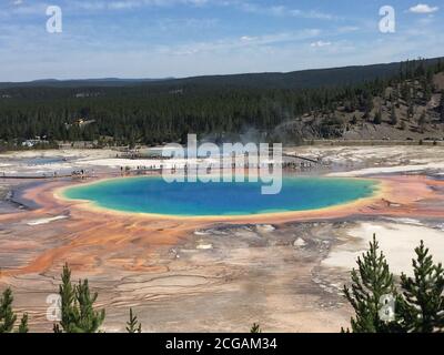 Famous trail of Grand Prismatic Springs in Yellowstone National Park from high angle view. Beautiful hot springs with vivid color blue green orange