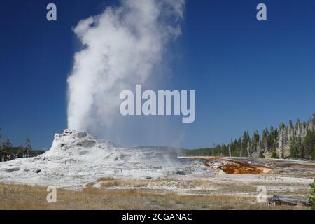 Heart spring near Lion geyser, Upper geyser basin, Yellowstone National Park, Wyoming Stock Photo