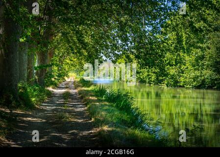 View from Chemin de Hallage on the edge of the Canal du Midi near Carcasonne in France Stock Photo