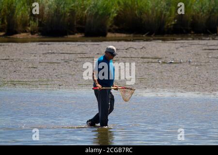 Eastern Neck, MD, USA 08/30/2020: An elderly caucasian man wearing baseball hat is walking in shallow water in an estuary by the Chesapeake bay and tr Stock Photo