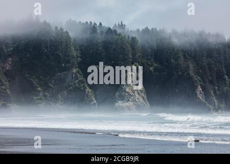 Salt spray hanging above the surf and low clouds drifting into the forests above the rock cliffs, 2nd Beach, Olympic National Park Coastal Preserve, W Stock Photo