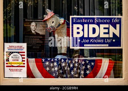 Chestertown, MD, USA 08/30/2020: Window display of the  Democrat Party campaign office with flags and illustrations to promote Joe Biden as the new pr Stock Photo