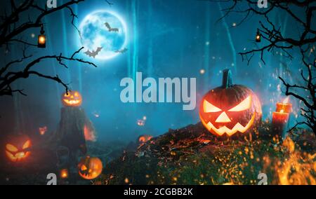 Spooky halloween pumpkins in dark forest. Scary halloween background with free space for text. Stock Photo