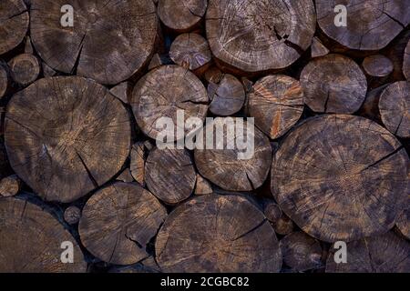 lot of big felled trees stacked side by side Stock Photo
