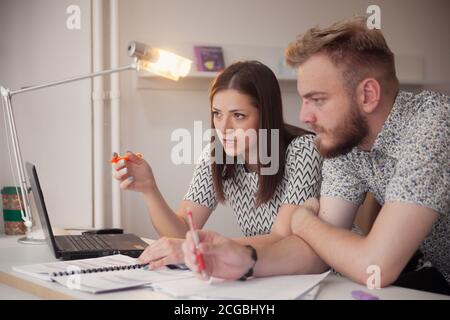 two people, studying together, seriously discussing project or learning. Stock Photo