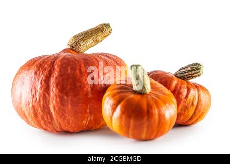 Pumpkin hokkaido fresh raw vegetable isolated on white background Stock Photo