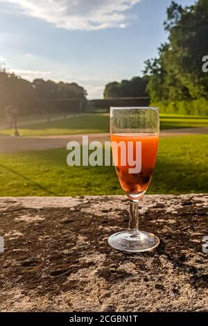 The glass with the cocktail was left on the stone wall against the background of a green meadow Stock Photo