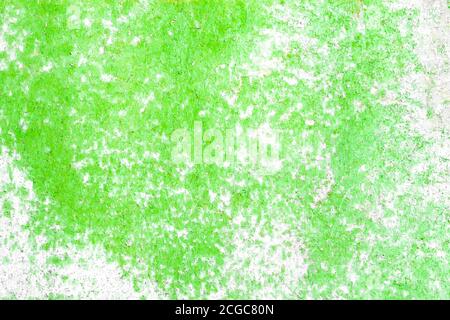 Green grey surface. Textural background. Stock Photo