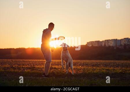 Man throwing flying disc for his dog. Pet owner with labrador retriver on field at beautiful sunset. Stock Photo