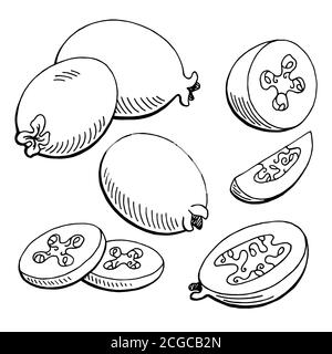 Feijoa fruit graphic black white isolated sketch illustration vector Stock Vector
