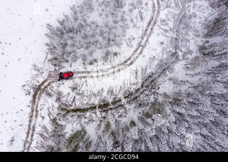 Sustaineable European spruce timber harvesting in Norway during wintertime with heavy machinery in snow, drone shot from above Stock Photo