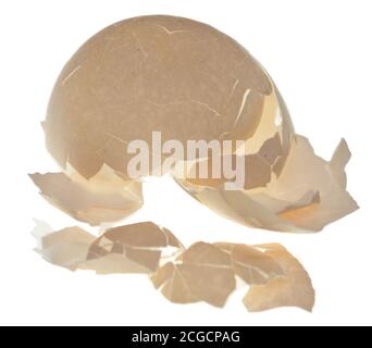 Cracked egg shells isolated on white background Stock Photo