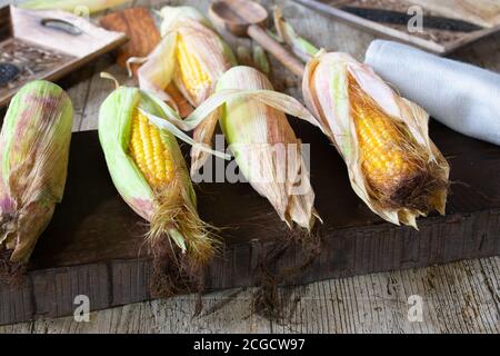 corn on the cop with peel - fresh harvest Stock Photo