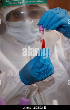 Female doctor nurse holding coronavirus test kit blood result Stock Photo