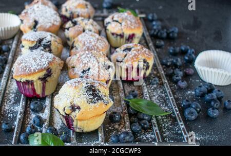 fresh baked blueberry muffins on a cooling grid Stock Photo