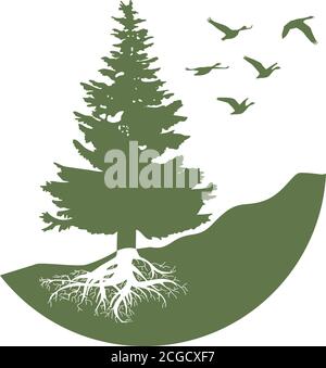 pine tree, graphiv design element Stock Vector