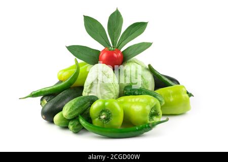 Various vegetables: tomatoes, cabbage, cucumbers, peppers, zucchini and a green branch with leaves on a white background. Stock Photo
