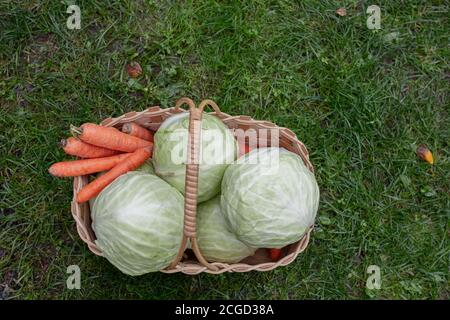 Cabbage in heads of cabbage and fresh carrots in a basket, on the table. High quality photo Stock Photo