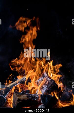 Burning wooden logs in fire, campfire isolated on black background Stock Photo