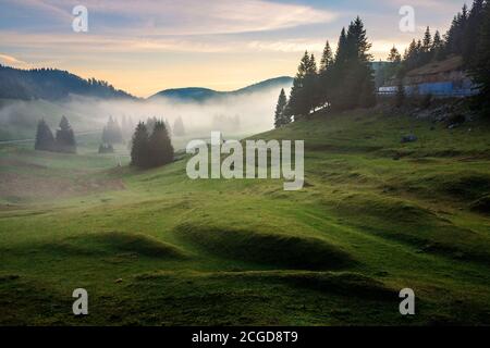 morning mist in apuseni natural park. valley full of fog at dawn. beautiful landscape of romania mountains in autumn. spruce trees on the hills. glowi Stock Photo