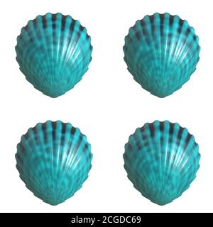 sea shell shellfish Stock Photo