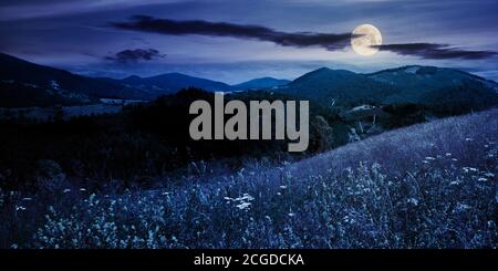 pasture on a sunny day in mountains at night. wonderful countryside landscape of carpathians in full moon light. fluffy clouds on the sky Stock Photo