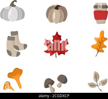 Set of vector hand drawn autumn elements. Autumn leaves, mushrooms, socks, pumpkin and mug. Fall Items for Thanksgiving Day design Stock Vector