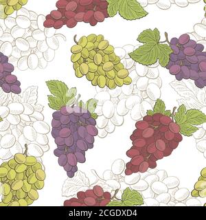 Grapes fruit graphic color seamless pattern sketch illustration vector Stock Vector