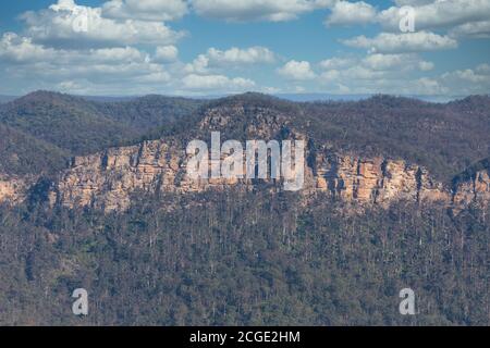 A forest near a cliff burnt by bushfire in The Blue Mountains in New South Wales in Australia Stock Photo